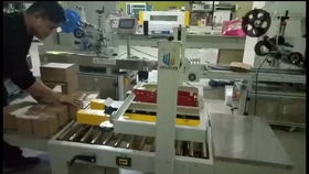 纸箱自动胶带封箱与边封收缩包装机 全自动封箱打包机的技术解析与应用前景